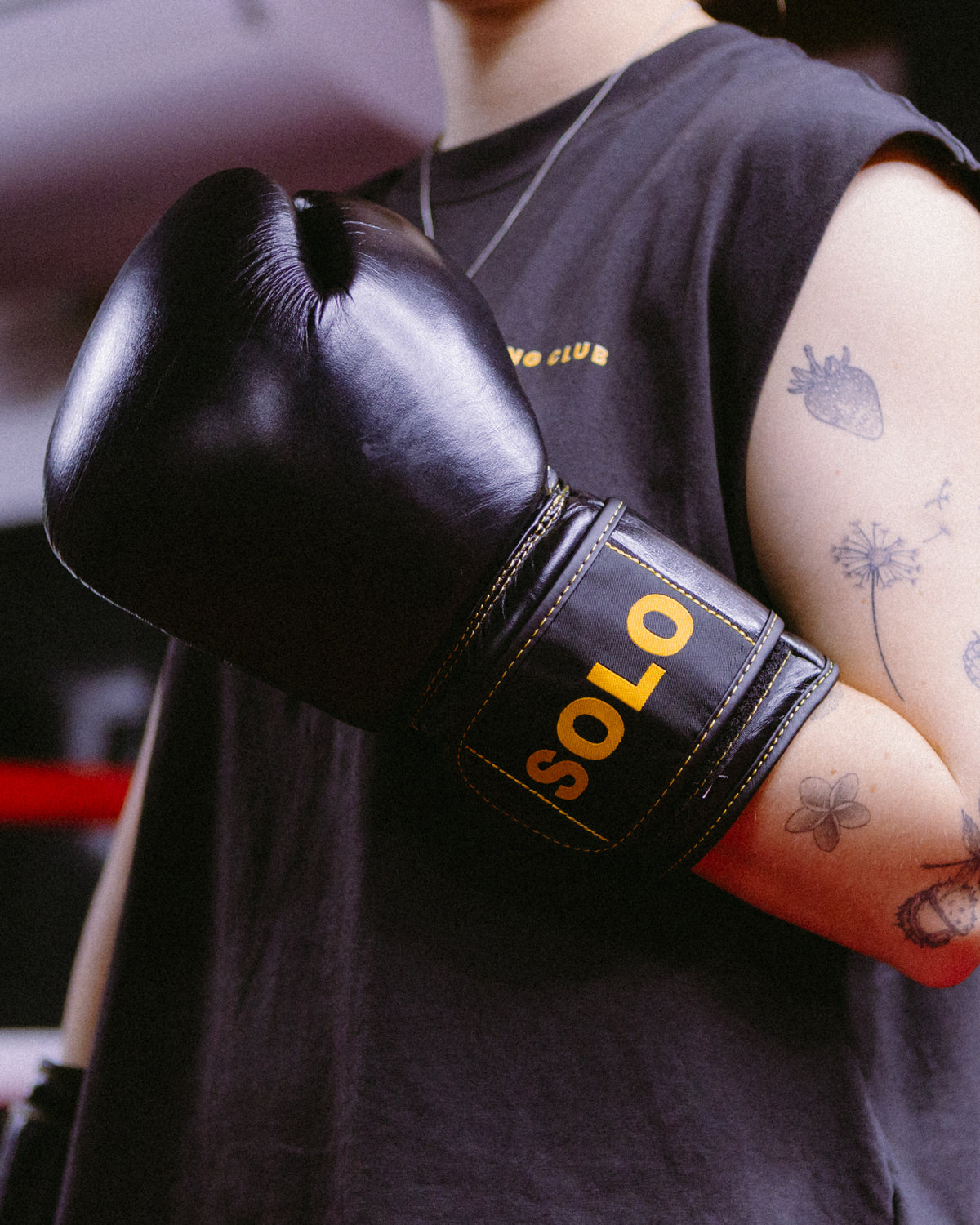Boxing gloves